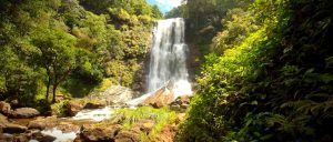 Waterfalls in Kemmanagundi